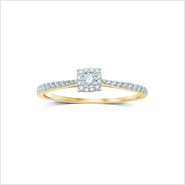 FROX8829G