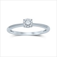 FROX2839G