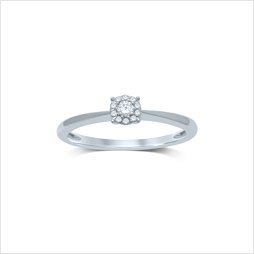 FROX2839G