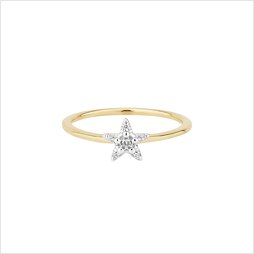 FROX3507G_1
