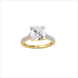 DJR3636YG W Topaz_1