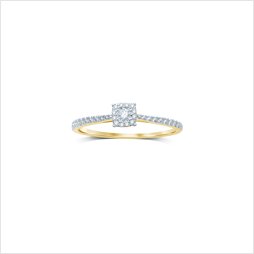 FROX8829G