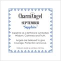 charm angel insert September