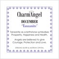 charm angel insert December