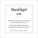 charm angel insert June